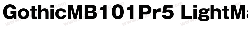 GothicMB101Pr5 LightMaruFoPro Regul字体转换